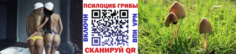 Псилоцибиновые грибы прущие грибы Электросталь