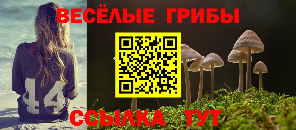 Электросталь  Псилоцибиновые грибы Psilocybine cubensis  Вход с VPN 
