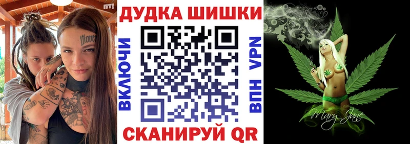Канабис ГИДРОПОН  где купить наркотик  Электросталь 